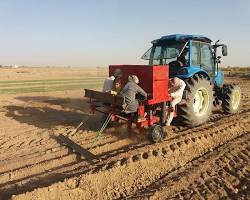 دستگاه کاشت مکانیزه زعفران